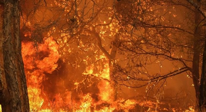 Φωτιές: Σήμερα οι ανακοινώσεις για τα μέτρα στήριξης – enikonomia.gr