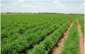 Έρχονται 10.000 εργάτες γης – Πάνω από 100.000 μετακλήσεις ξένων εργατών για το 2026 – enikonomia.gr