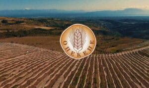 ΟΠΕΚΕΠΕ: Πραγματοποιήθηκε η πρώτη πληρωμή υπό τη νέα μεταβατική Διοίκηση – Ποιοι έλαβαν τα ποσά της