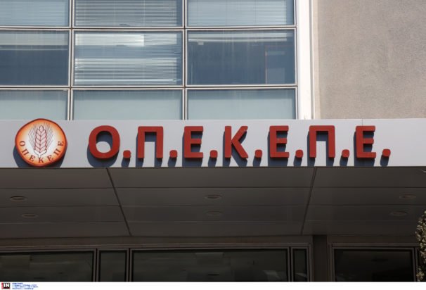 Πολιτική κόντρα για τον ΟΠΕΚΕΠΕ: Κυβερνητικές πηγές κατηγορούν το ΠΑΣΟΚ για «κοπτοραπτική» – Τι απαντά η