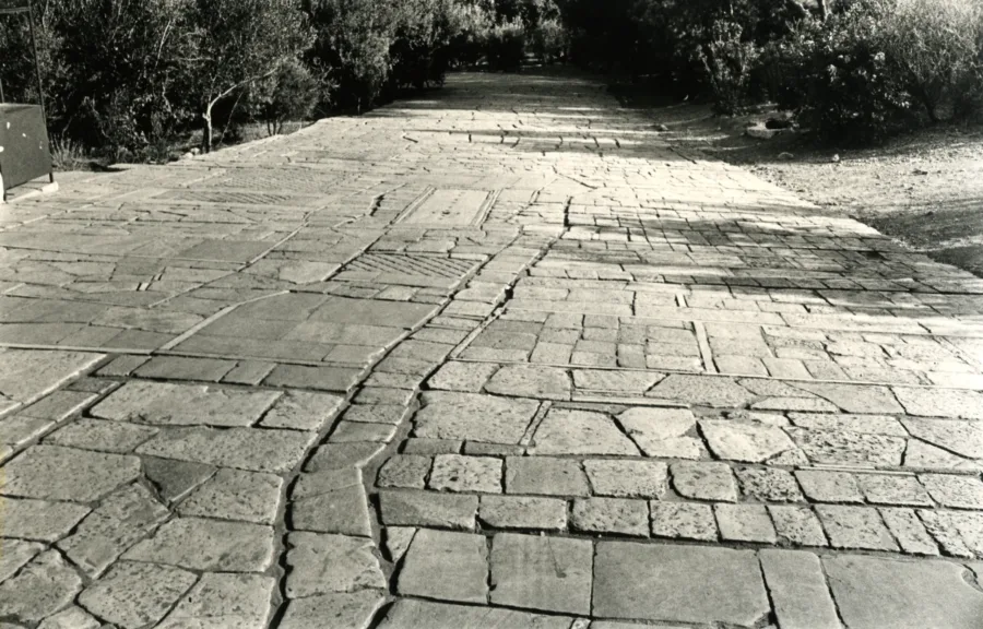 «Δημήτρης Πικιώνης. Αισθητική Τοπογραφία» στο Μουσείο Μπενάκη / Πειραιώς 138