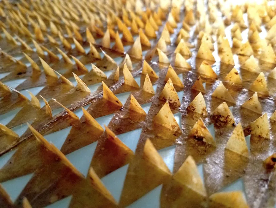 “Safe Area”: Η CITRONNE Gallery παρουσιάζει τη νέα ατομική έκθεση-εγκατάσταση του Νίκου Ποδιά