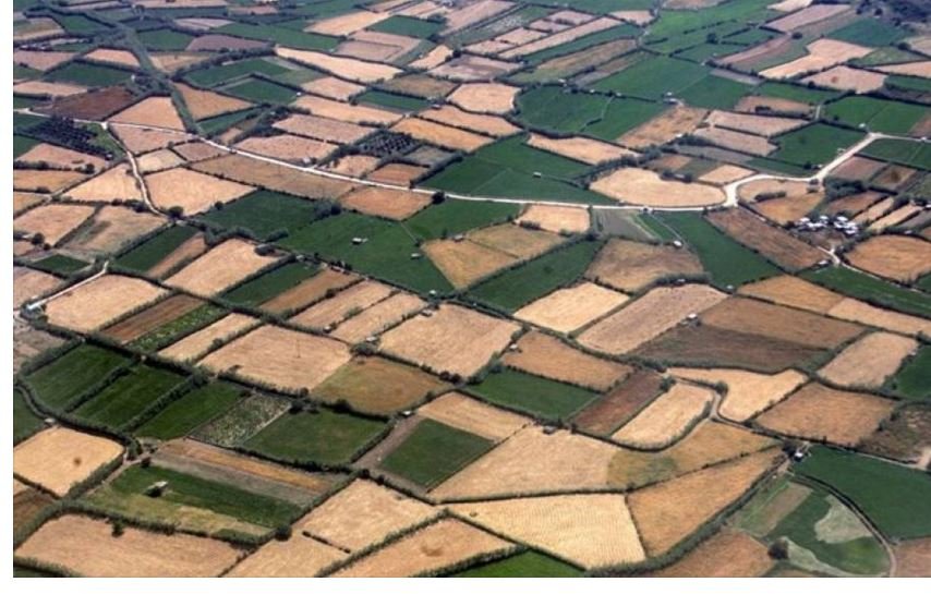 Κτηματολόγιο: Τα SOS για να μην μπλοκάρουν οι περιουσίες σας – enikonomia.gr