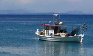 Λιμανι Πειραιά: Αντιδράσεις για τα θαλάσσια πάρκα από επαγγελματίες αλιείς και καταγγελίες