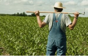 ΟΠΕΚΕΠΕ και ευλογιά: Διπλό «χτύπημα» σε αγρότες και κτηνοτρόφους – Όλες οι νεότερες πληροφορίες –