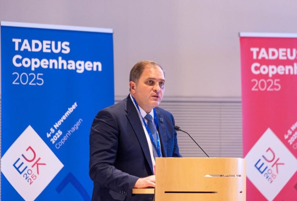 Πιτσιλής: Αυτό είναι το νέο Πολυετές Σχέδιο για τις φορολογικές διοικήσεις της Ε.Ε. – enikonomia.gr