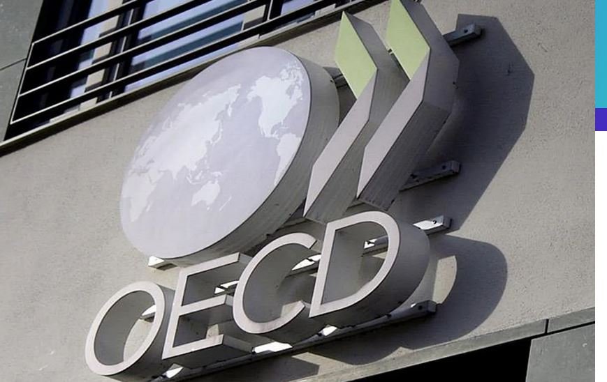 Ψηφιακός μετασχηματισμός και τεχνητή νοημοσύνη: Τι δείχνουν τα στοιχεία της έκθεσης του ΟΟΣΑ για την Ελλάδα