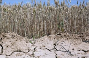 Λειψυδρία: Επισήμως σε κατάσταση έκτακτης ανάγκης Αττική, Λέρος, Πάτμος – Τα επόμενα βήματα – enikonomia.gr