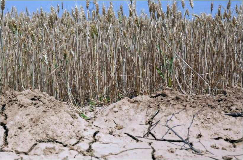 Λειψυδρία: Επισήμως σε κατάσταση έκτακτης ανάγκης Αττική, Λέρος, Πάτμος – Τα επόμενα βήματα – enikonomia.gr