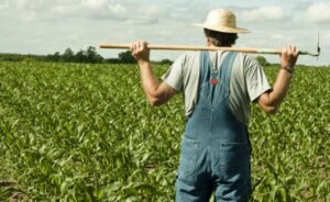 Κέλλας: Ανοίγει η πλατφόρμα για τις ενστάσεις των αγροτών – Φέτος οι πληρωμές έγιναν κατόπιν ελέγχων