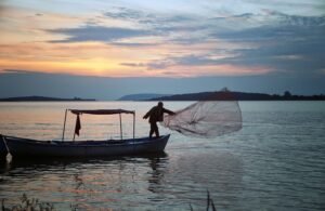 Aνοίγουν στις 22 Δεκεμβρίου αιτήσεις για μεταποίηση προϊόντων αλιείας και υδατοκαλλιέργειας – enikonomia.gr