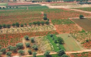 Tα αιτήματα των αγροτών,των κτηνοτρόφων και των μελισσοκόμων προς την κυβέρνηση