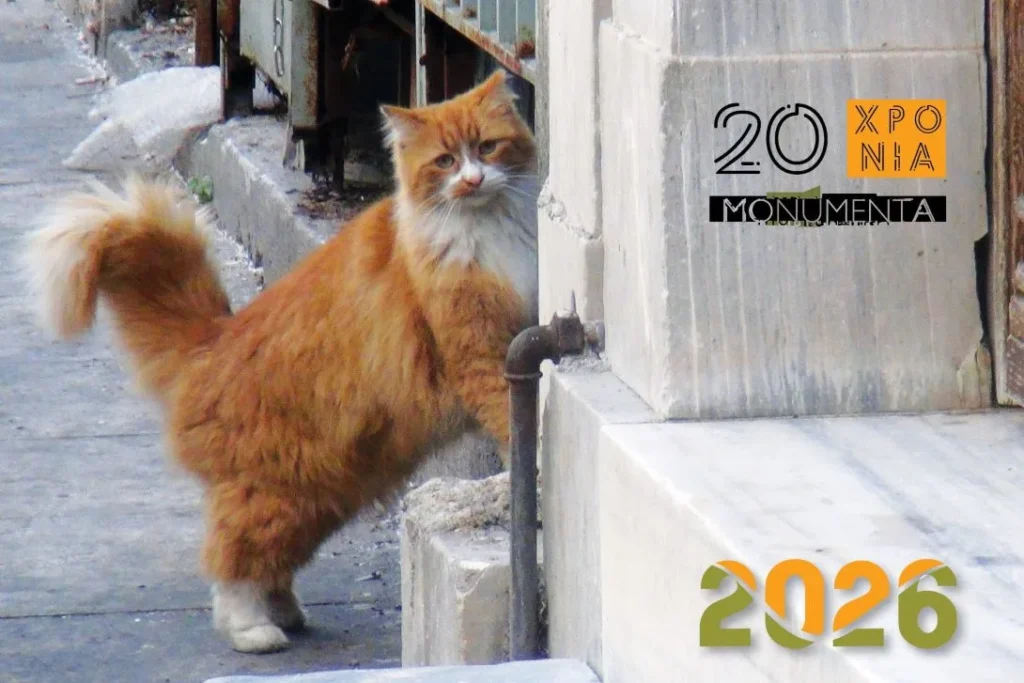 Χριστουγεννιάτικο μπαζάρ και ξενάγηση για τη στήριξη των δράσεων της MONUMENTA