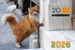 Χριστουγεννιάτικο μπαζάρ και ξενάγηση για τη στήριξη των δράσεων της MONUMENTA