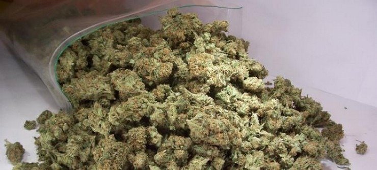 Συνελήφθη 24χρονος στη Βούλα με 69 κιλά ακατέργαστης κάνναβης