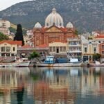 Μυτιλήνη: Έκκληση για άμεσο τερματισμό των σφαγών κοπαδιών και έναρξη προγράμματος εμβολιασμού