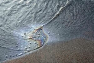 Ουκρανία: Ρύπανση από ηλιέλαιο στη Μαύρη Θάλασσα, μετά τα ρωσικά πλήγματα στην Οδησσό