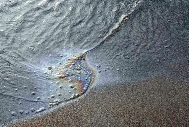 Ουκρανία: Ρύπανση από ηλιέλαιο στη Μαύρη Θάλασσα, μετά τα ρωσικά πλήγματα στην Οδησσό