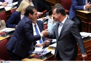 Γεωργιάδης και Πλεύρης για Διεθνή Αμνηστία και Δικαστήριο της Χάγης: «Αντιδυτικά και αριστεροκρατούμενα