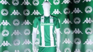 Παναθηναϊκός: Προκηρύχθηκε στα 17,5 εκατ. ευρώ η νέα αύξηση Μετοχικού Κεφαλαίου της ΠΑΕ