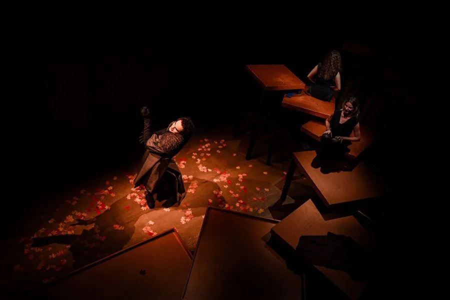 «Οι Δούλες» του Ζαν Ζενέ και τον Φεβρουάριο στο Θέατρο Άττις