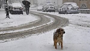 Καιρός: Τοπικές βροχές, χιόνια στα ορεινά, δυνατοί άνεμοι και θερμοκρασία έως 15 βαθμούς Κελσίου