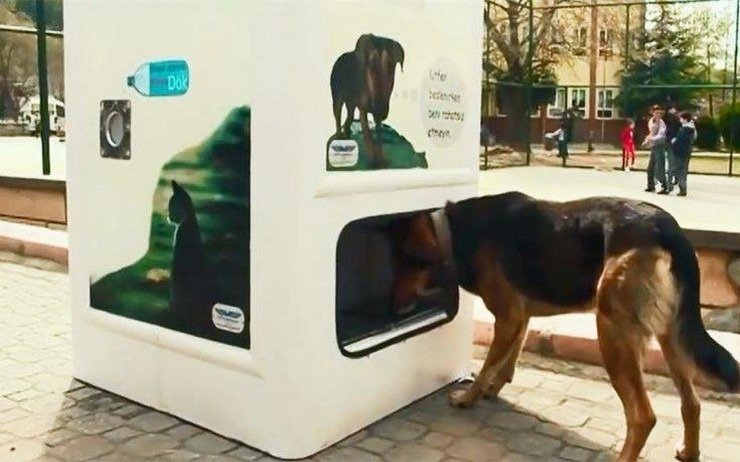 Υπουργείο Εσωτερικών: Ομάδα εργασίας για αδειοδότηση εγκαταστάσεων αδέσποτων ζώων