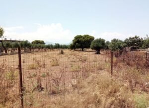 Οικόπεδα και ακάλυπτοι χώροι: Τι λέει η ΠΟΜΙΔΑ – enikonomia.gr