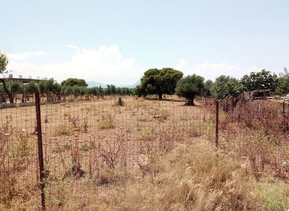 Οικόπεδα και ακάλυπτοι χώροι: Τι λέει η ΠΟΜΙΔΑ – enikonomia.gr