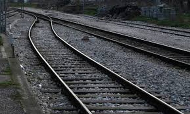 Στο νοσοκομείο Πύργου μηχανοδηγός τρένου επάνω στο οποίο έπεσε δέντρο