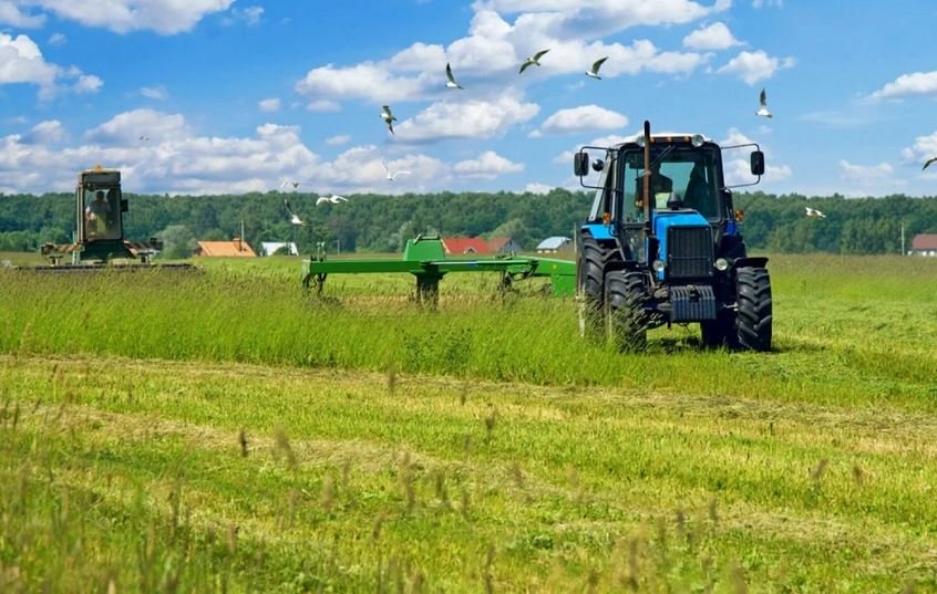 Προσλήψεις στον ΕΛΓΟ Δήμητρα: Ποιοι μπορούν να υποβάλουν αίτηση και μέχρι πότε – enikonomia.gr