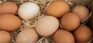 Αυγά: Το σχέδιο για την αντιμετώπιση της παράνομης εισαγωγής και ελληνοποίησης – Τι είναι το Μητρώο