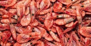 Καθαρά Δευτέρα: Ποια καταστήματα και σούπερ μάρκετ παραμένουν ανοιχτά – Αναλυτικό ωράριο για Βαρβάκειο και Ρέντη