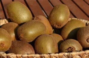 Το Ελληνικό Ακτινίδιο Θριαμβεύει στις Παγκόσμιες Αγορές: Διπλάσια Παραγωγή και Νέοι Προορισμοί Εξαγωγών