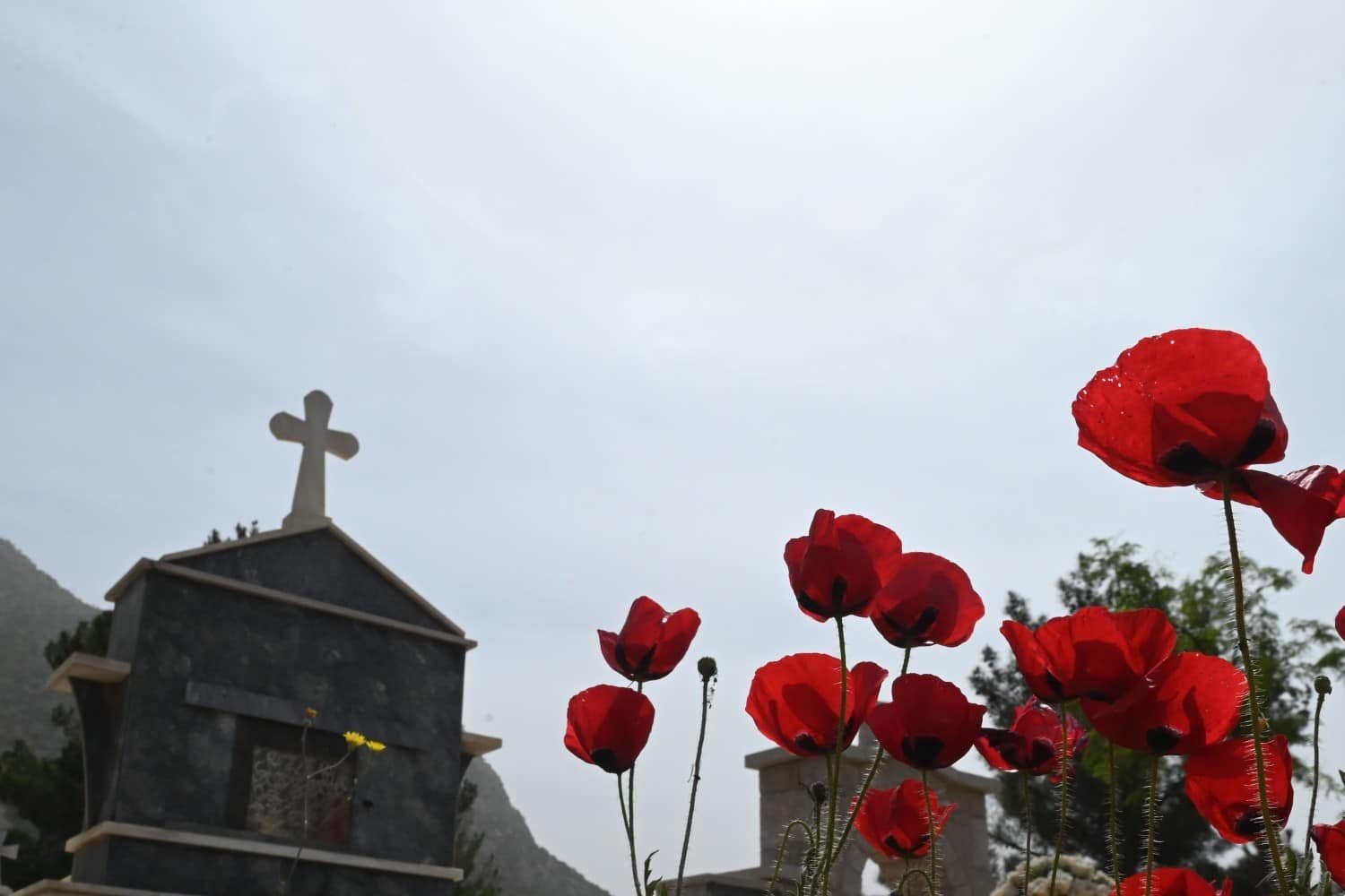 Κως: 59χρονος ζητά τώρα την ακύρωση της καταδίκης του για απόπειρες βιασμού στο νεκροταφείο