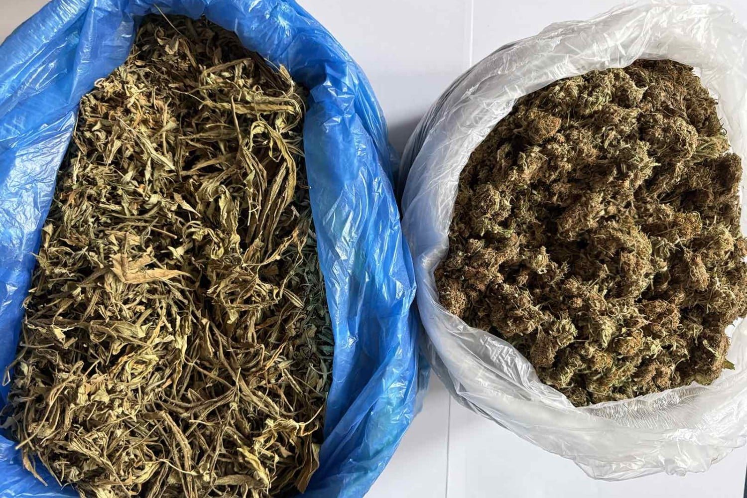 Συλλήφθηκε 60χρονος στην Κέρκυρα για διακίνηση ναρκωτικών – Στην κατοχή του βρέθηκε μεγάλη ποσότητα κάνναβης