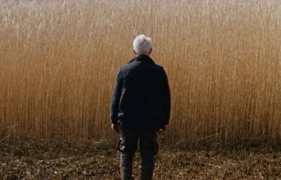 “Ανάμεσα στις καλαμιές”: Το καθηλωτικό θρίλερ μυστηρίου που έκανε πρεμιέρα στις Κάννες έρχεται στους κινηματογράφους από 2 Απριλίου