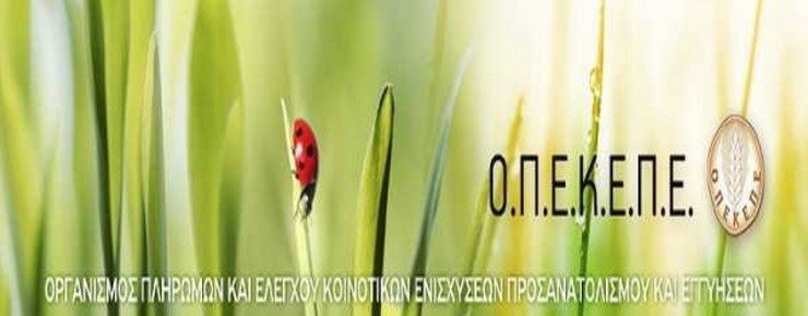 Εκτεταμένη έρευνα για το σκάνδαλο του ΟΠΕΚΕΠΕ στην Κρήτη: «Φύλλο και φτερό» τα Κέντρα Υποβολής Δηλώσεων και λογιστές στο στόχαστρο