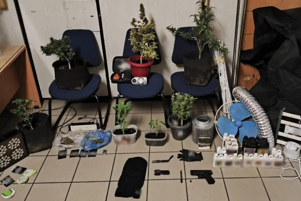 Άγιοι Ανάργυροι: 42χρονος συνελήφθη με εργαστήριο κάνναβης και ηρωίνη στο σπίτι του