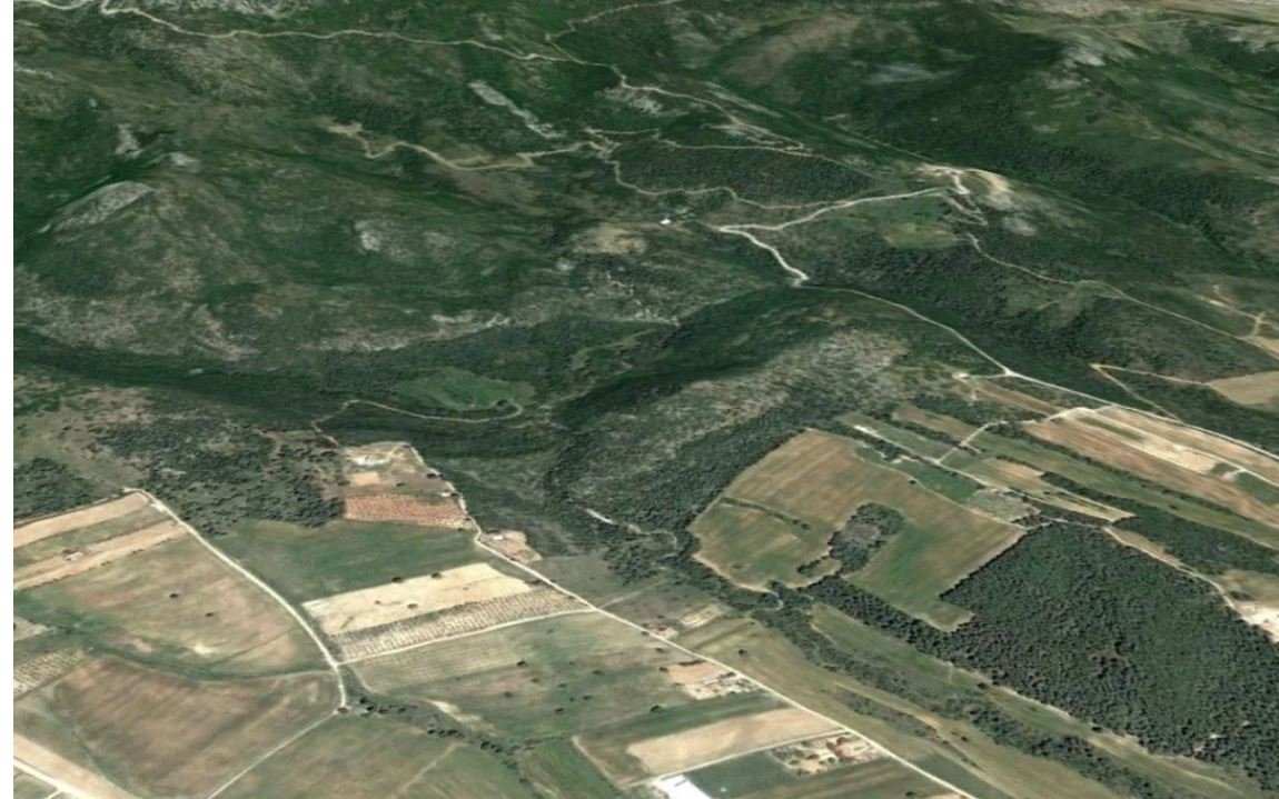 Ξεμπλοκάρονται οι Μεταβιβάσεις Ακινήτων: Απλοποιείται η Διαδικασία Αποδοχής Πρόδηλων Σφαλμάτων στους Δασικούς Χάρτες