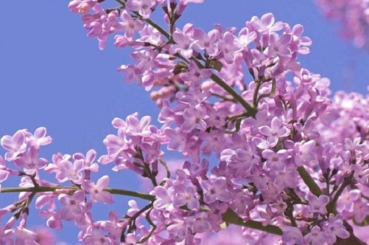 Ελλάδα: Οι κορυφαίοι πασχαλινοί προορισμοί πνευματικής κατάνυξης και η έξοδος των εκδρομέων