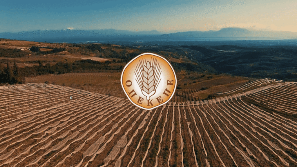 Συνεχίζονται οι αποκαλύψεις για τον ΟΠΕΚΕΠΕ: Νέα δικογραφία έρχεται, με το όνομα πρωτοκλασάτου πρώην υπουργού στο επίκεντρο