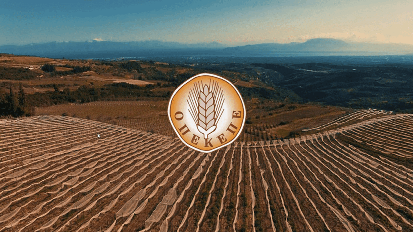 Συνεχίζονται οι αποκαλύψεις για τον ΟΠΕΚΕΠΕ: Νέα δικογραφία έρχεται, με το όνομα πρωτοκλασάτου πρώην υπουργού στο επίκεντρο