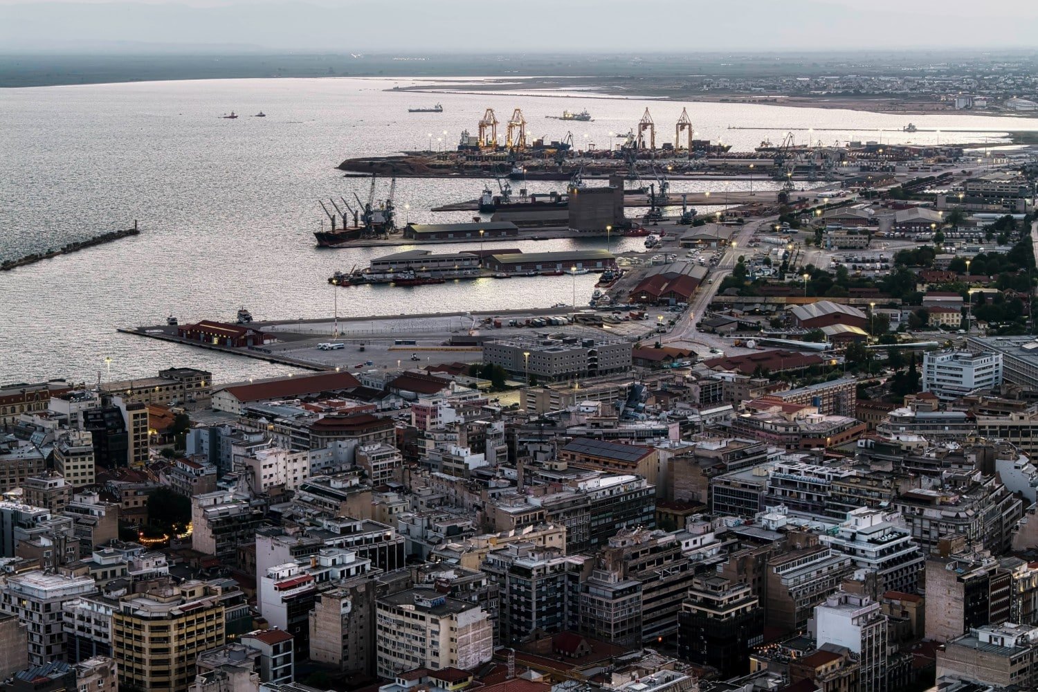 Σοκ στη Θεσσαλονίκη: Εντοπίστηκε νεκρός σκύλος τυλιγμένος σε σακούλα σε κάδο απορριμμάτων – Έρευνα σε εξέλιξη