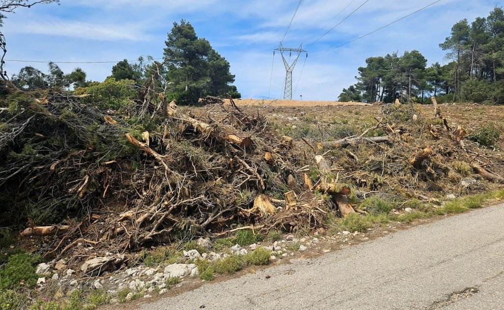 Ακαθάριστα οικόπεδα: Η αντίστροφη μέτρηση για δηλώσεις και καθαρισμό – Τι κοστίζουν οι εργασίες