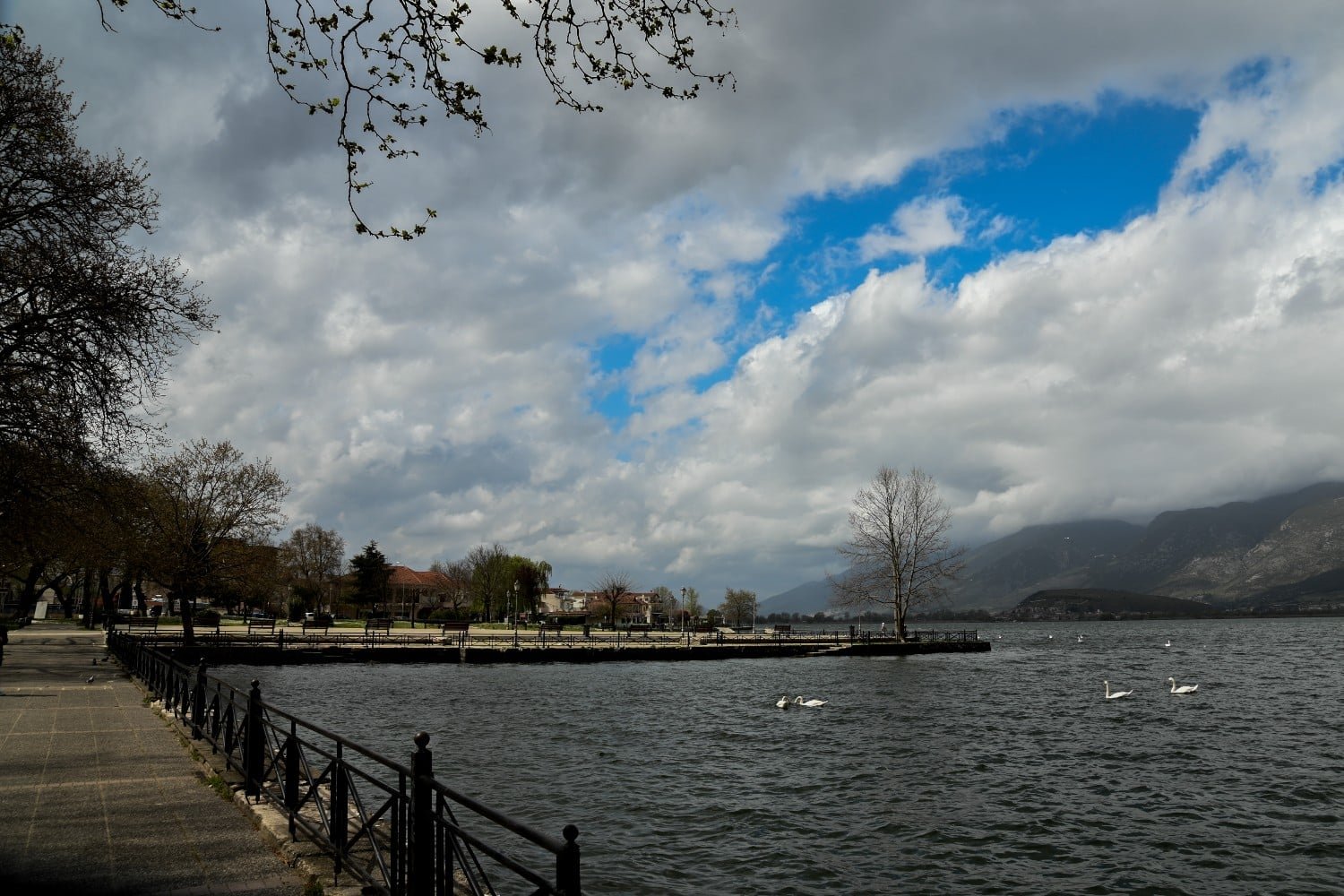 Επιχείρηση της Αστυνομίας στα Ιωάννινα: Δύο Συλλήψεις για Ναρκωτικά και Παράνομη Οπλοκατοχή – Οι Λεπτομέρειες