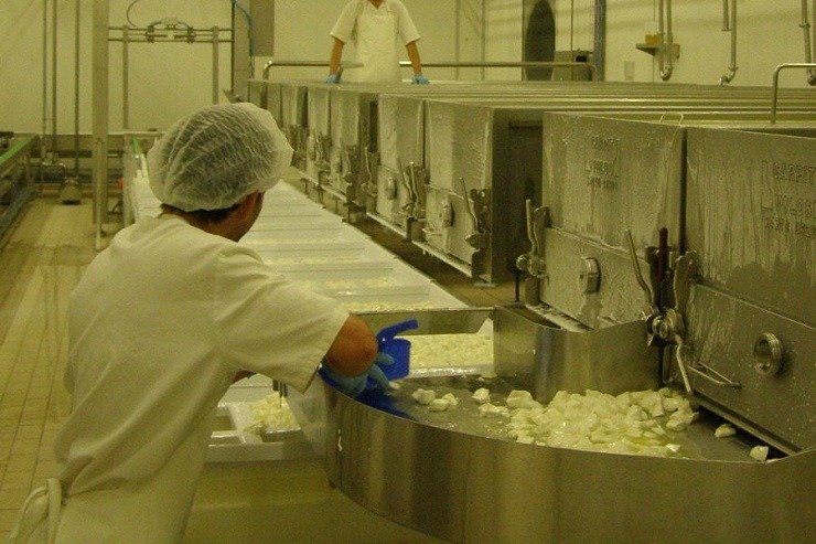 Λέσβος: Έκκληση Τυροκόμων για Άμεση Απομάκρυνση Γαλακτοκομικών Προϊόντων για Επαναλειτουργία Τυροκομείων