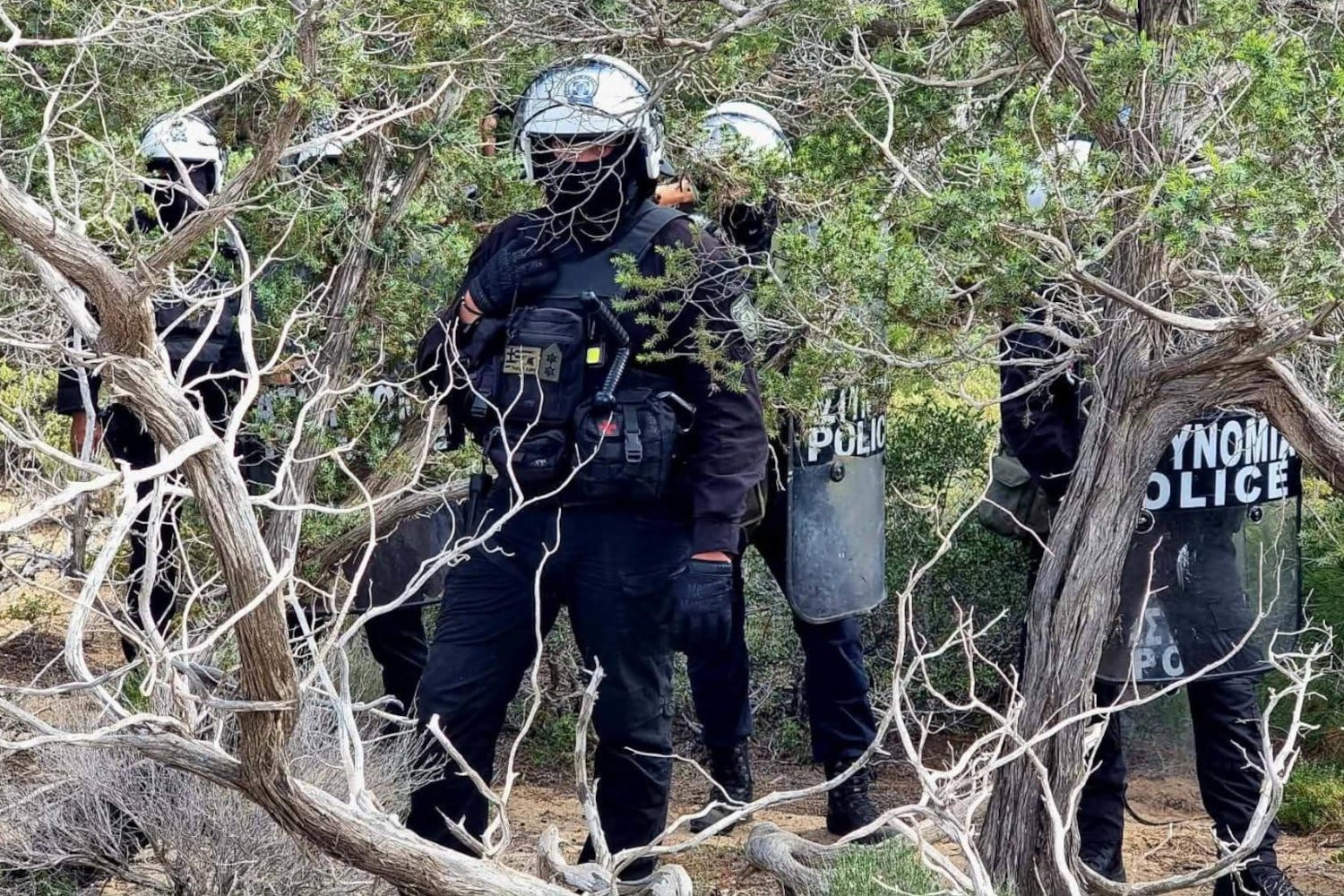 Γαύδος: Κατεδαφίσεις Καλυβών Κατασκηνωτών με Επικεφαλής Διμοιρίες ΜΑΤ στις Παραλίες (Βίντεο)