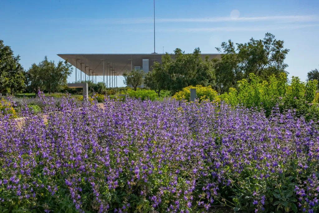Πρωτομαγιά στο Πάρκο Σταύρος Νιάρχος: Μια Γιορτή Άνοιξης με Συναυλία του Πασχάλη και Δράσεις για Όλους