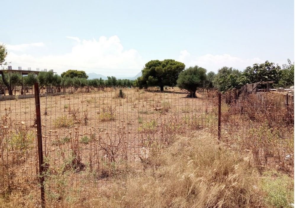 Δημοσιεύθηκε η Κοινή Υπουργική Απόφαση για τον Καθαρισμό Οικοπέδων: Όλες οι Νέες Ρυθμίσεις και Υποχρεώσεις